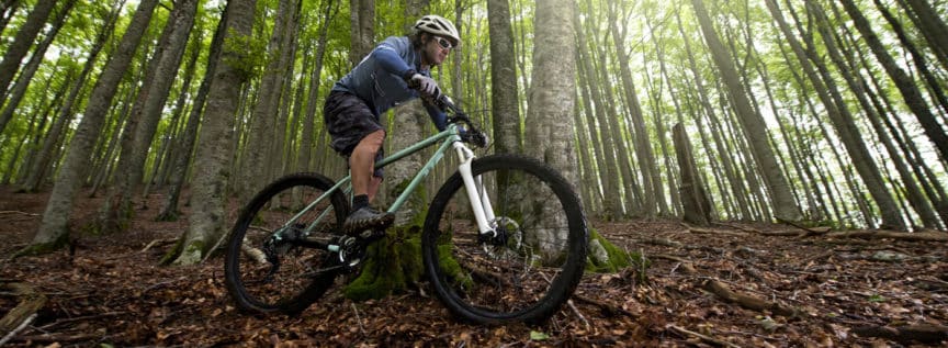 Ein Radfahrer am Mountainbike im Wald