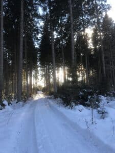 Ein Weg im Winter im Wolschartwald