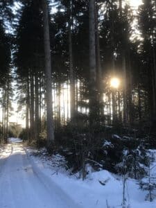 Ein Weg im Winter im Wolschartwald