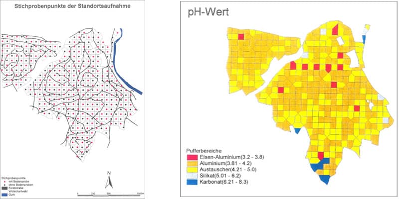 Baumartenwahl